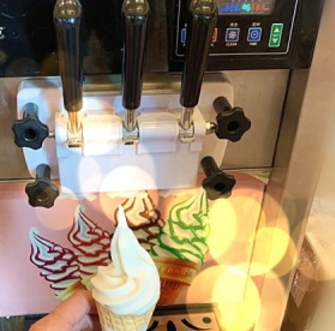 浦园冰淇淋机