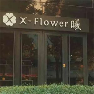 X-Flower曦