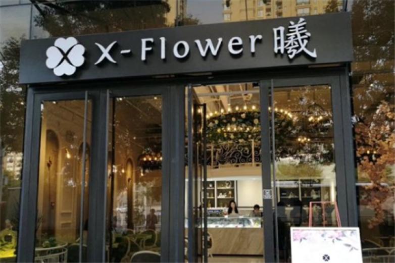 X-Flower曦加盟