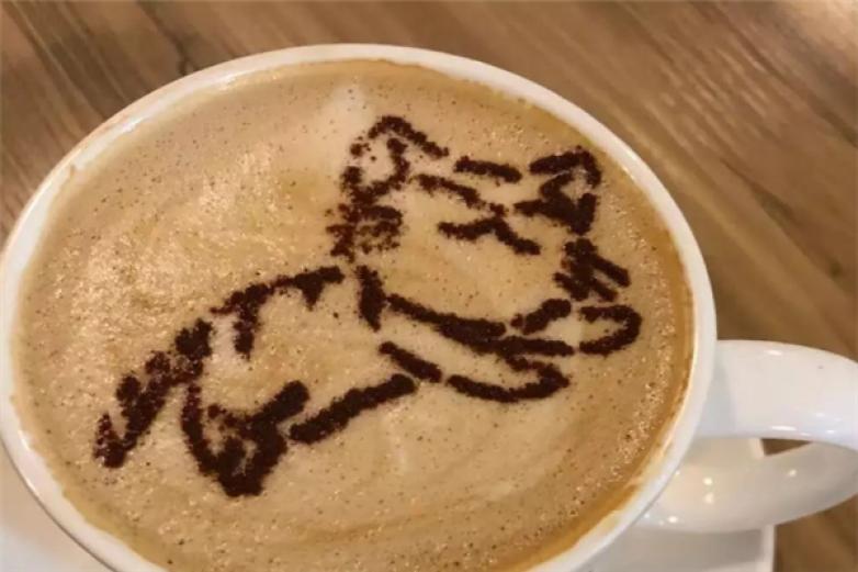 车猫咖啡加盟