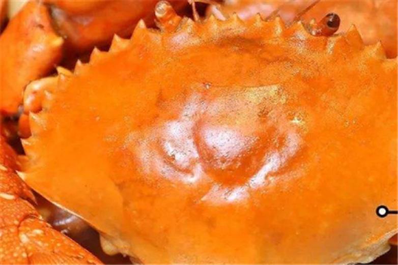  海林肉蟹龙虾加盟