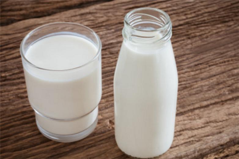 红原牦牛奶加盟