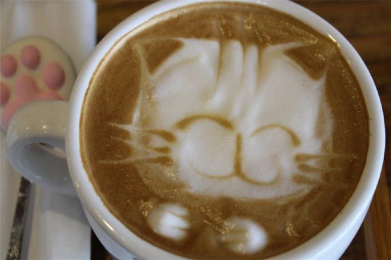 猫咪主题咖啡馆加盟
