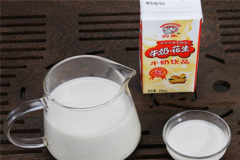 白象牛奶饮品加盟