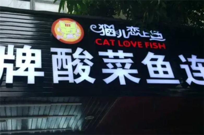 猫儿恋上鱼酸菜鱼加盟