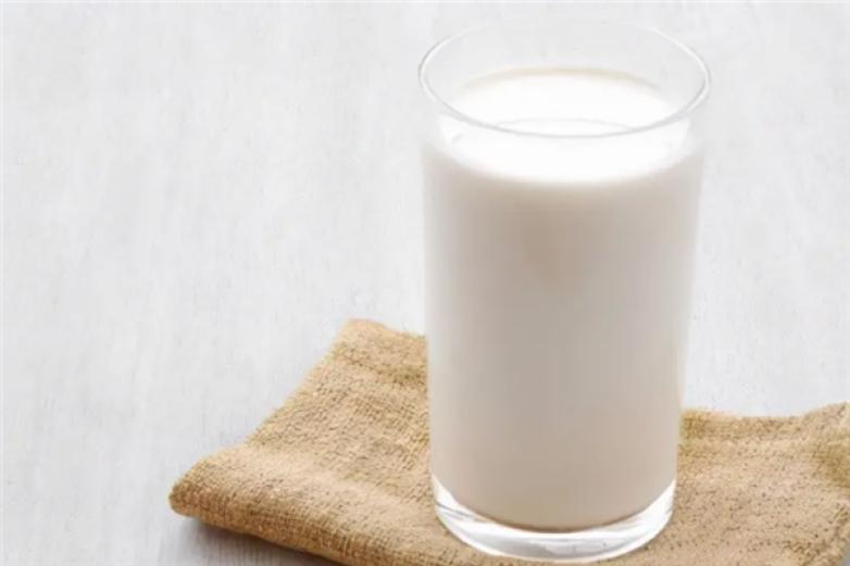 牛奶饮品加盟