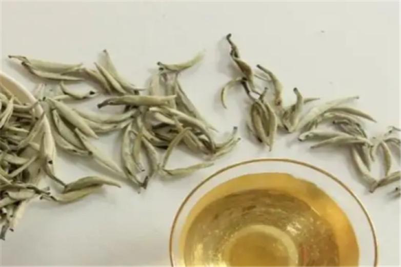 龍王山白茶加盟