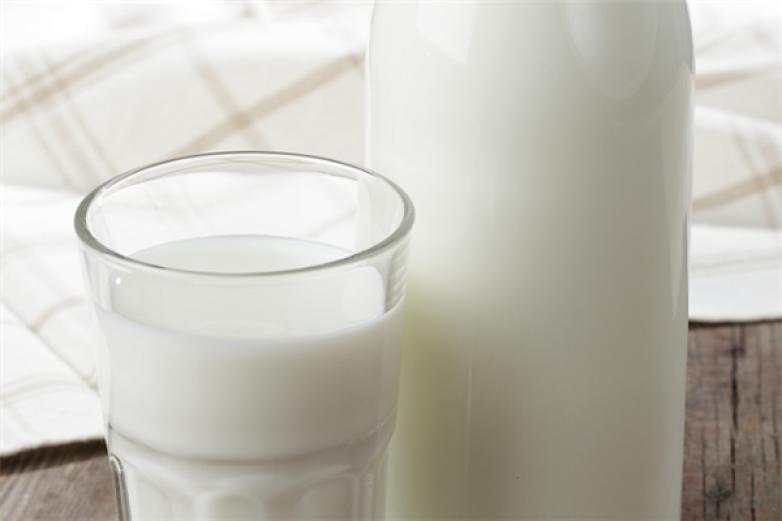 西江牛奶加盟