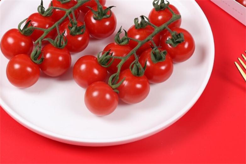 小番茄轻食加盟
