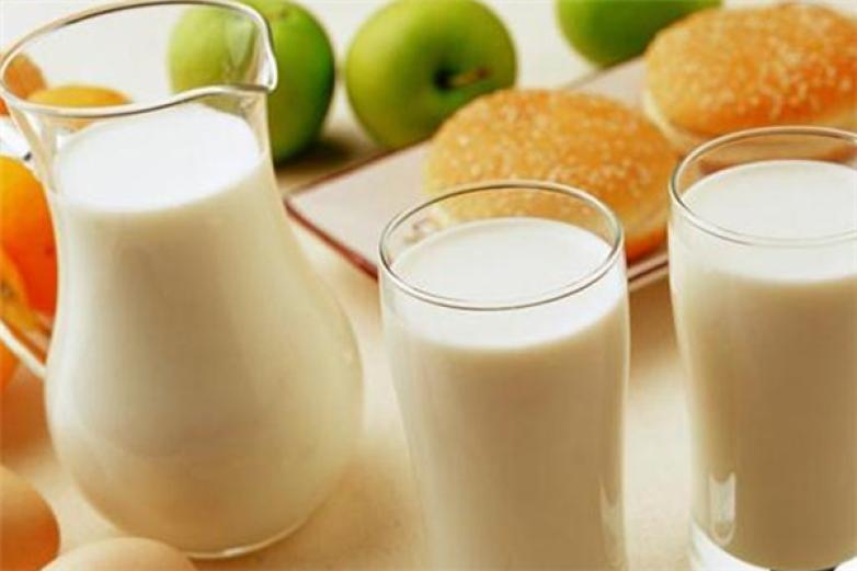 乐多活性乳酸菌乳饮品加盟