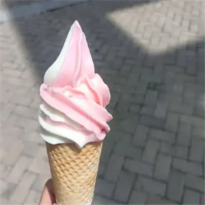 诗美克冰淇淋