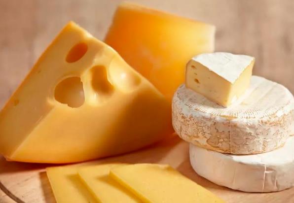 苏式奶酪加盟