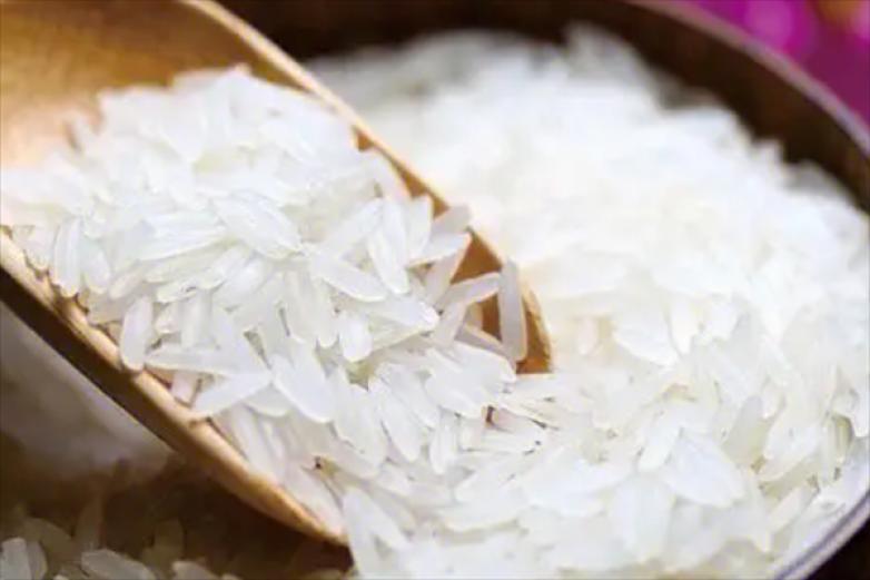 越吃粤湘煲仔饭加盟