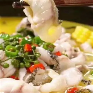 渔港镇酸菜鱼