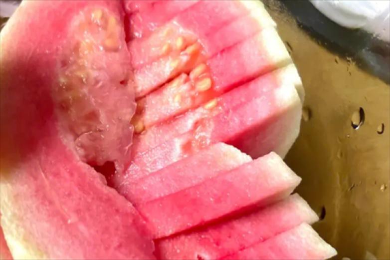 寻蟹肉蟹煲加盟