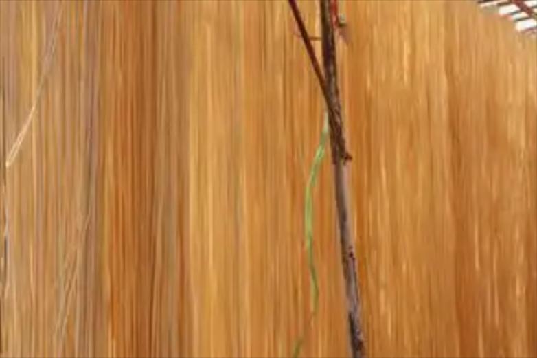 双鱼挂面加盟