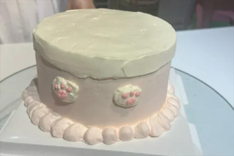 九度心语cake加盟