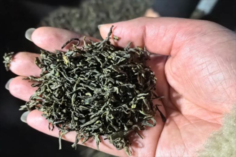 邦东普洱茶加盟