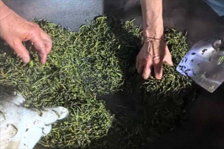邦东普洱茶加盟
