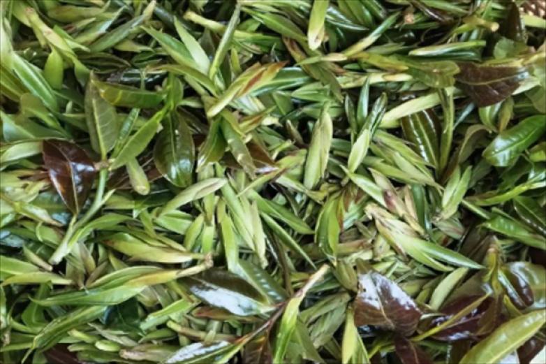 三宁茶业加盟