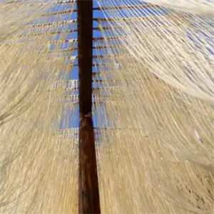 金麦香手擀面