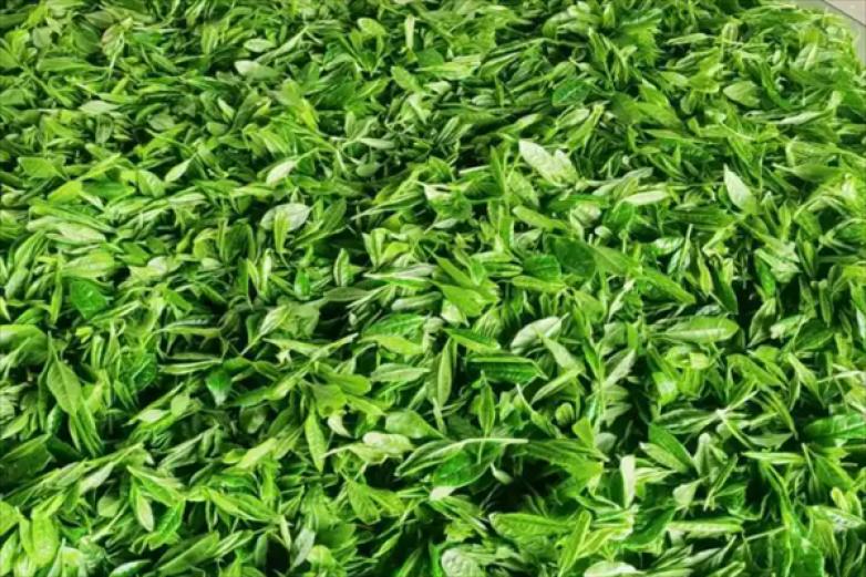 秋水茶座加盟