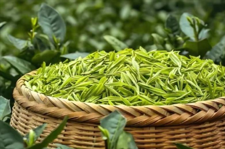 书培老红糖珍珠奶茶加盟