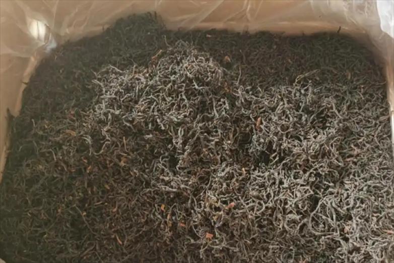 乡绿珠茶业加盟