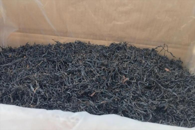 乡绿珠茶业加盟
