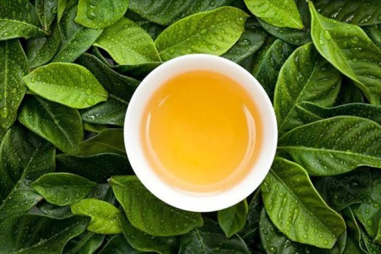 红工夫茶业加盟