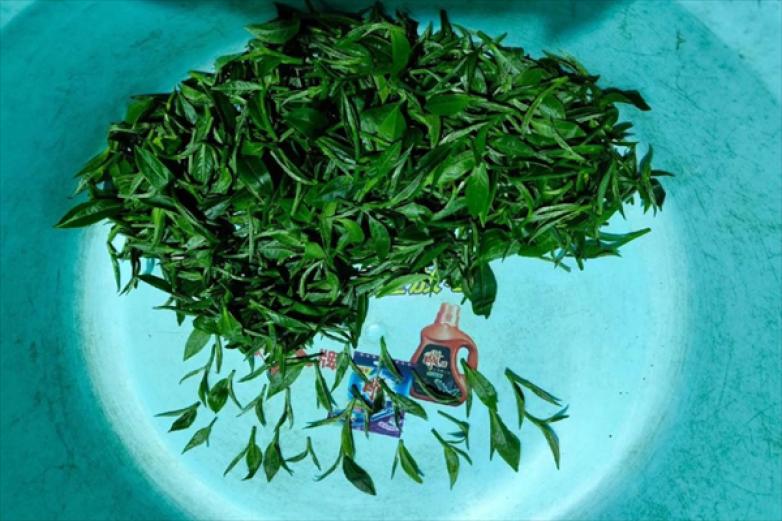 汤之社茶叶加盟