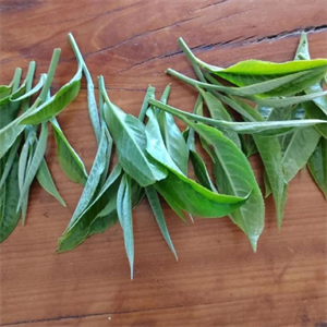 裕红茶业