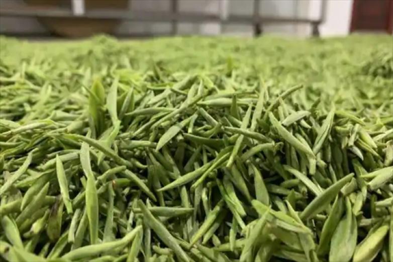 裕红茶业加盟