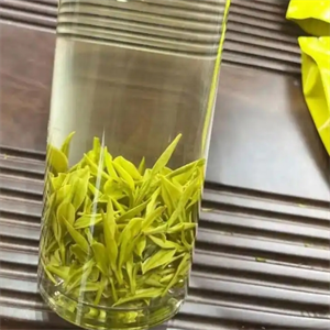 吾品红茶叶