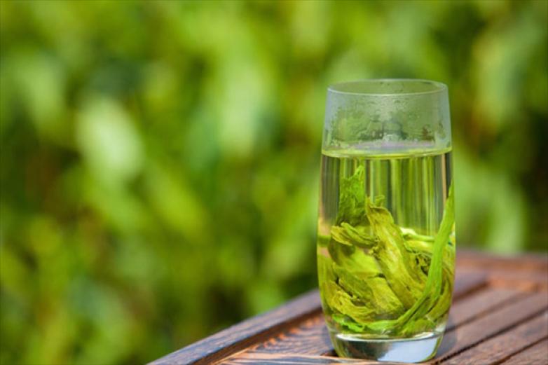顺辉铁观音茶叶加盟