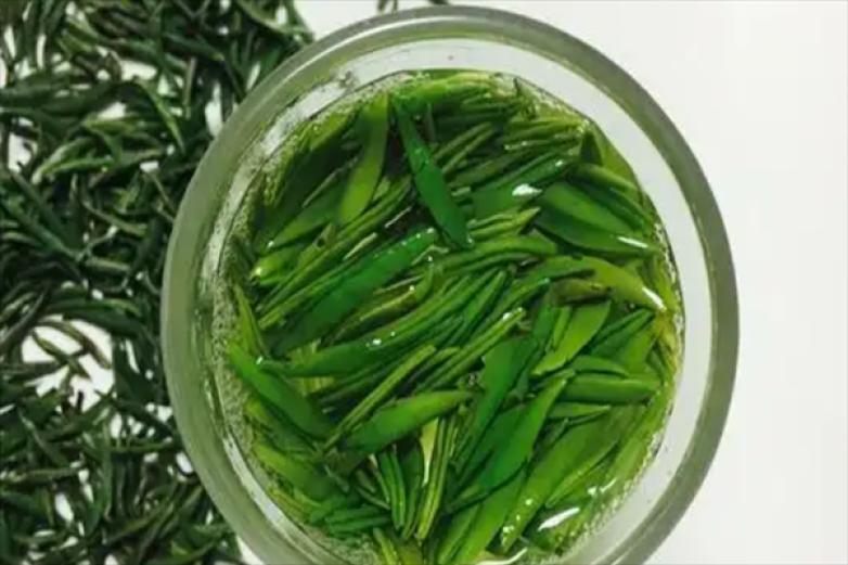 顺辉铁观音茶叶加盟