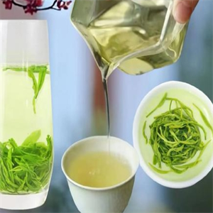 朱祉茶叶
