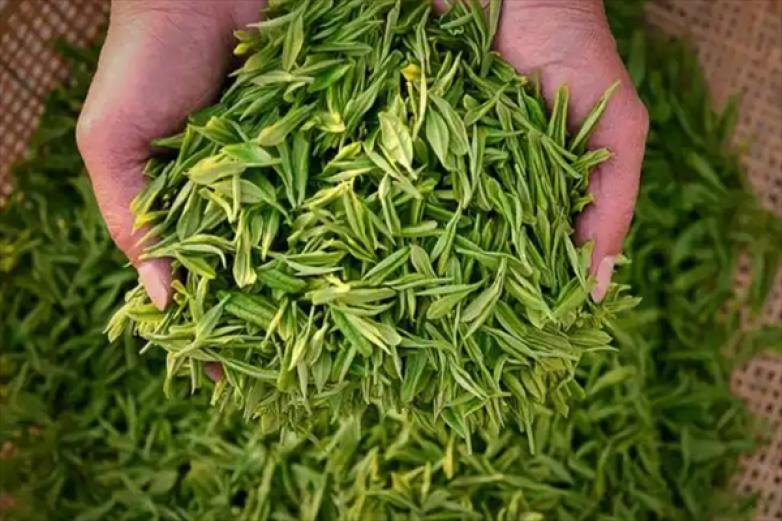 茶后茶饮加盟