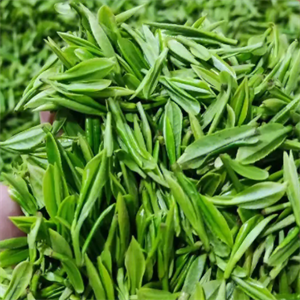 茗泽茶庄