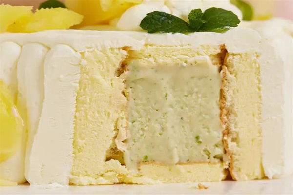 吐司马TOAST