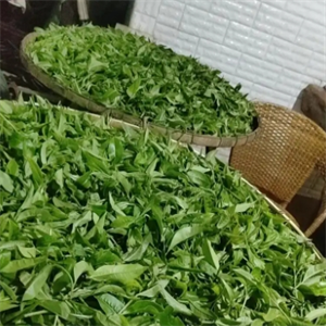 小茶屋