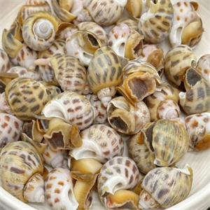 宝亨海鲜家常菜