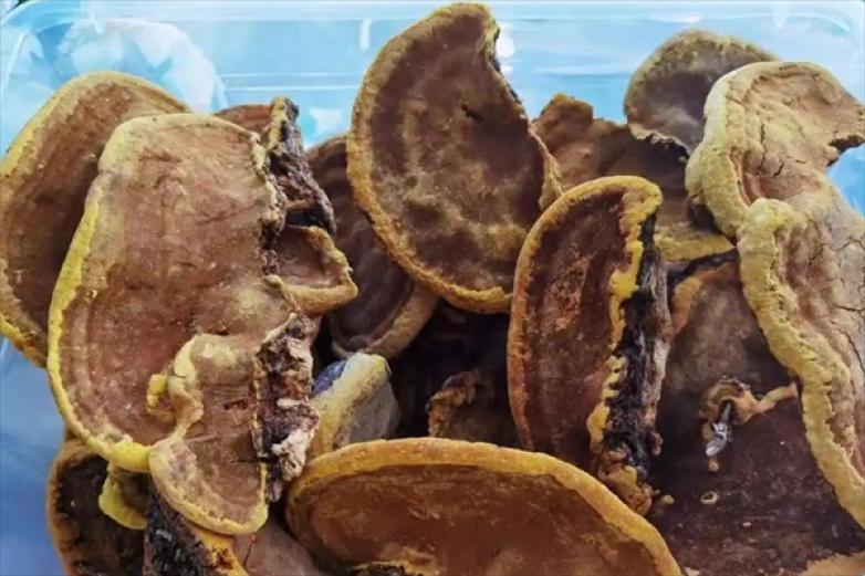 南塘时光港式甜品加盟